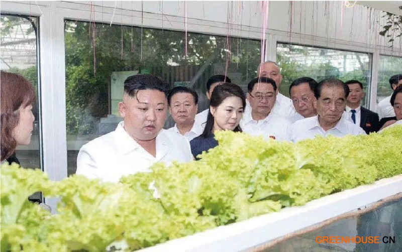 4.朝鮮最高領(lǐng)導(dǎo)人、朝鮮勞動黨總書記金正恩到訪創(chuàng)新園