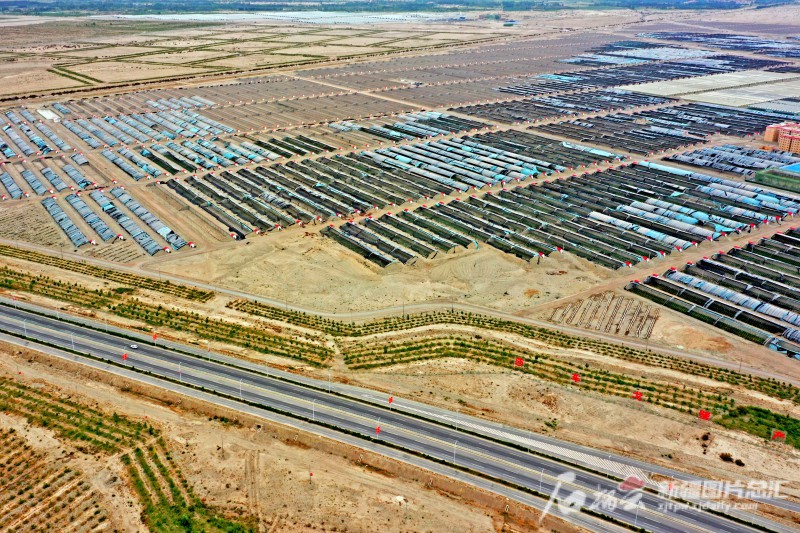 莎車縣戈壁產(chǎn)業(yè)園里，3000座溫室大棚成為荒灘上最具活力的地方。天山網(wǎng)-新疆日報記者 蔡增樂 攝